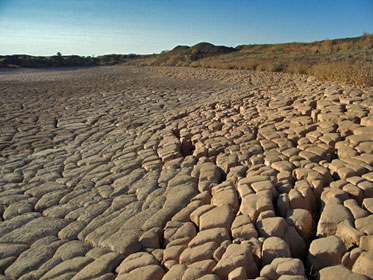 Typical depression due to consolidation associated with in-pit tailings storage